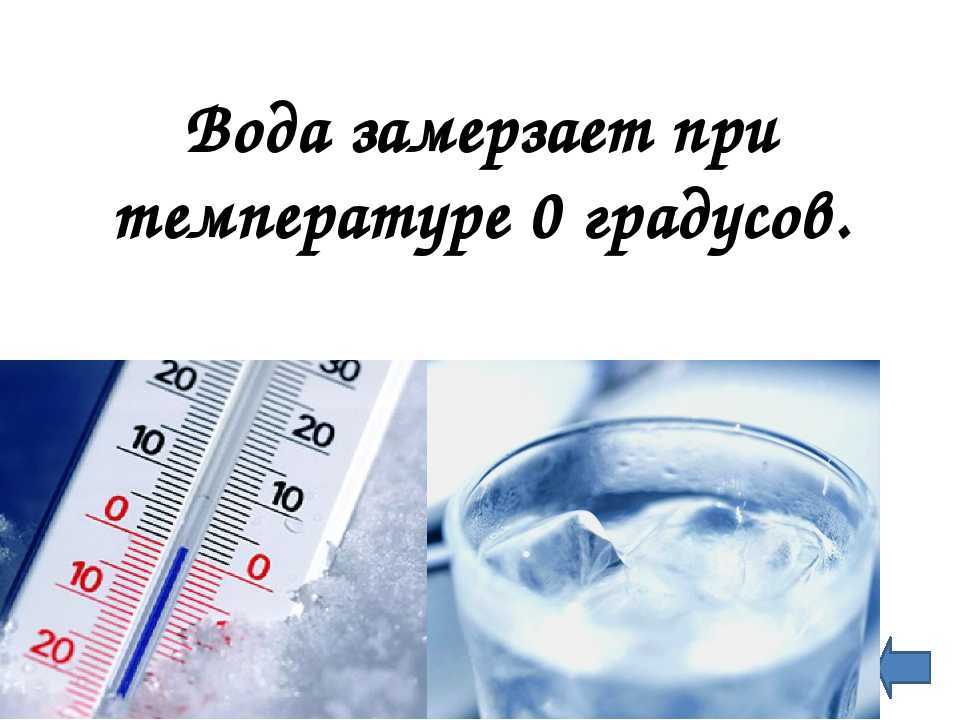 Моря которые замерзают зимой