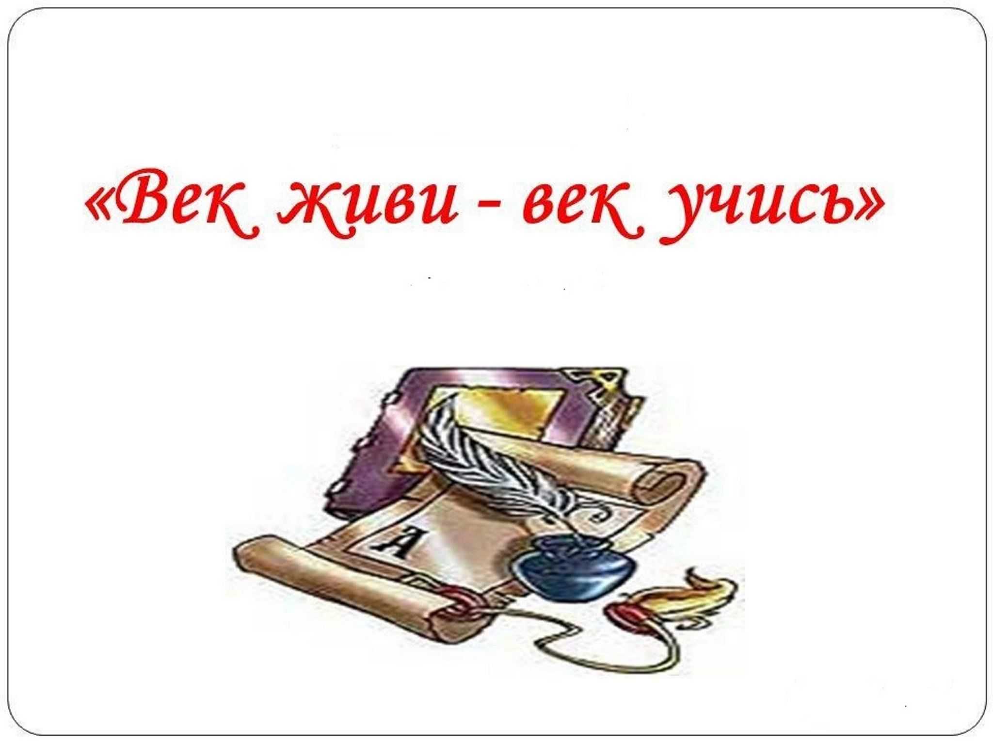 Чем институт и университет отличаются от школы?