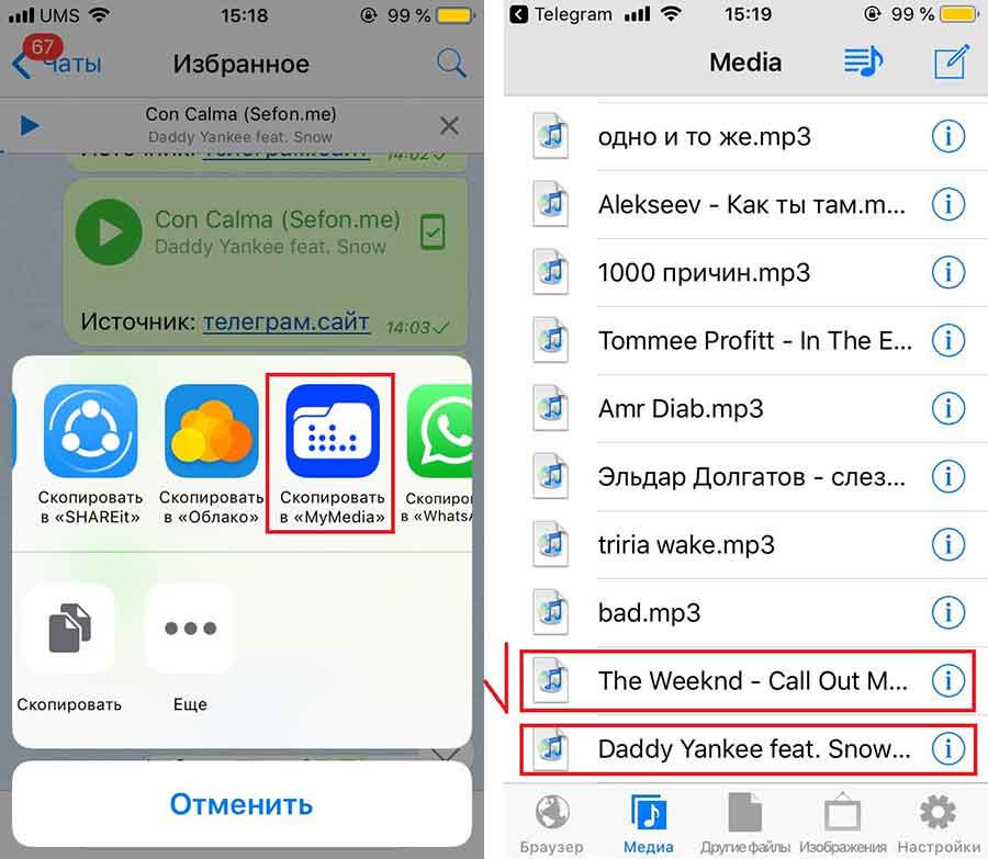 Где хранятся файлы telegram на iphone? - блог про компьютеры и их настройку