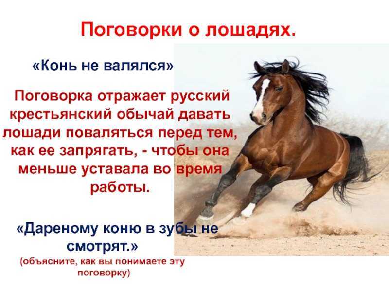 История старинных фразеологизмов: топ-10 самых древних выражений