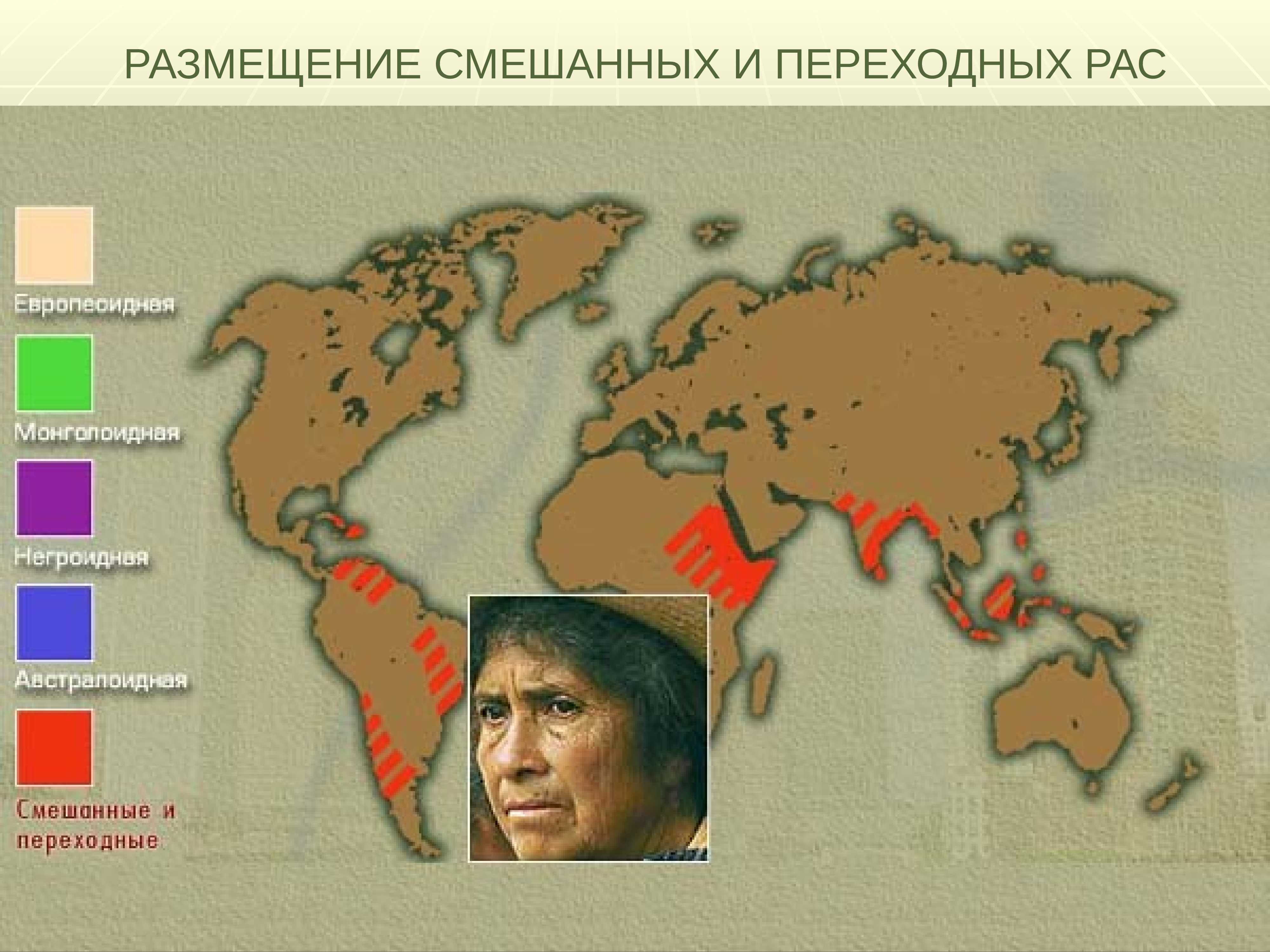 Монголоидная раса