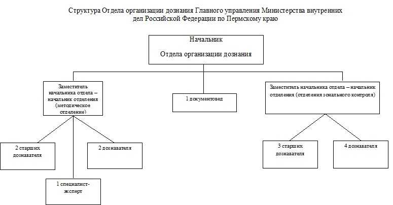 В чем заключаются основные различия между рувд и мвд