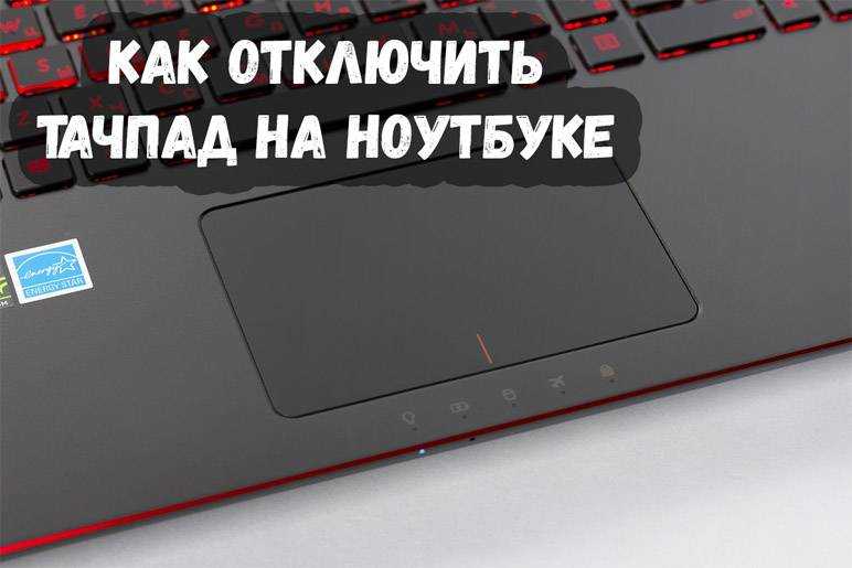 Как отключить сенсорную панель на ноутбуке?