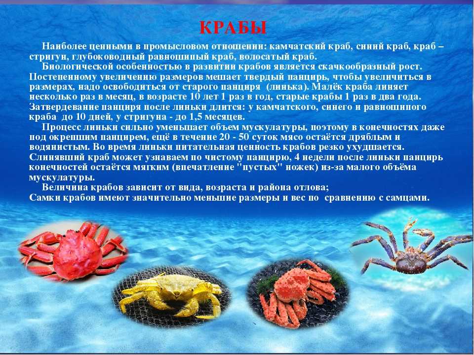 Дай краба: что это значит и откуда появилось выражение