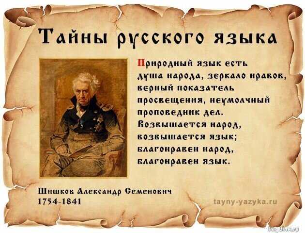 «медведь и земляничное дерево»: символы мадрида