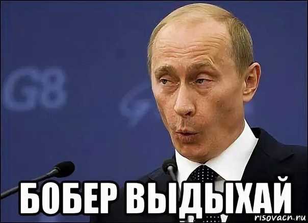 Выдыхай бобер: что означает этот термин и как он связан с природой?