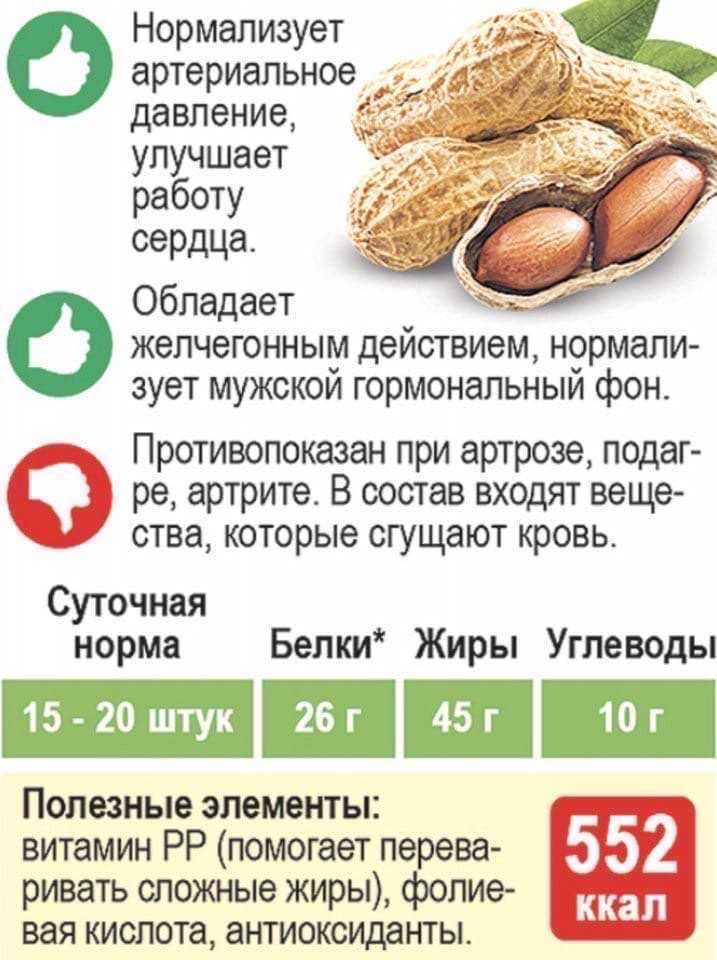 Сколько орехов можно съедать в день: какие полезны при похудении и лучше для диеты, а также фото порции в штуках с калорийностью