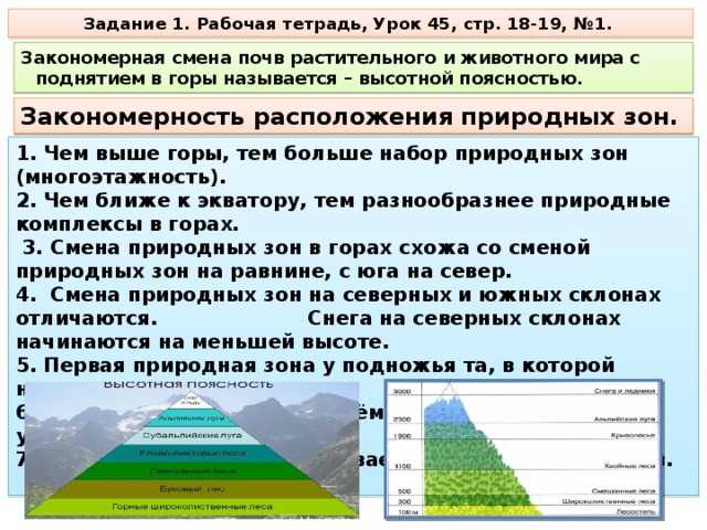 Что такое широтная зональность и высотная поясность, в чем они выражаются, примеры