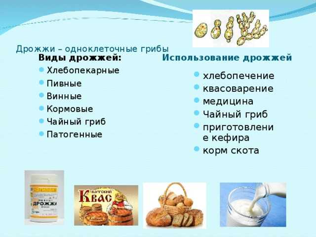 Дрожжи | cooks - повара казахстана