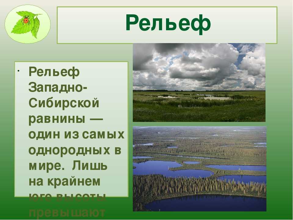Рельеф восточно-европейской равнины. рельеф западно-сибирской равнины