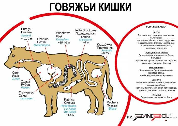 Каждый кусок кишки перевязать с обеих сторон прочной ниткой снять ножом верхний тонкий слой еще раз промыть в проточной воде положить в кастрюлю с подсоленной водой и отварить до готовности примерно около 2 часов