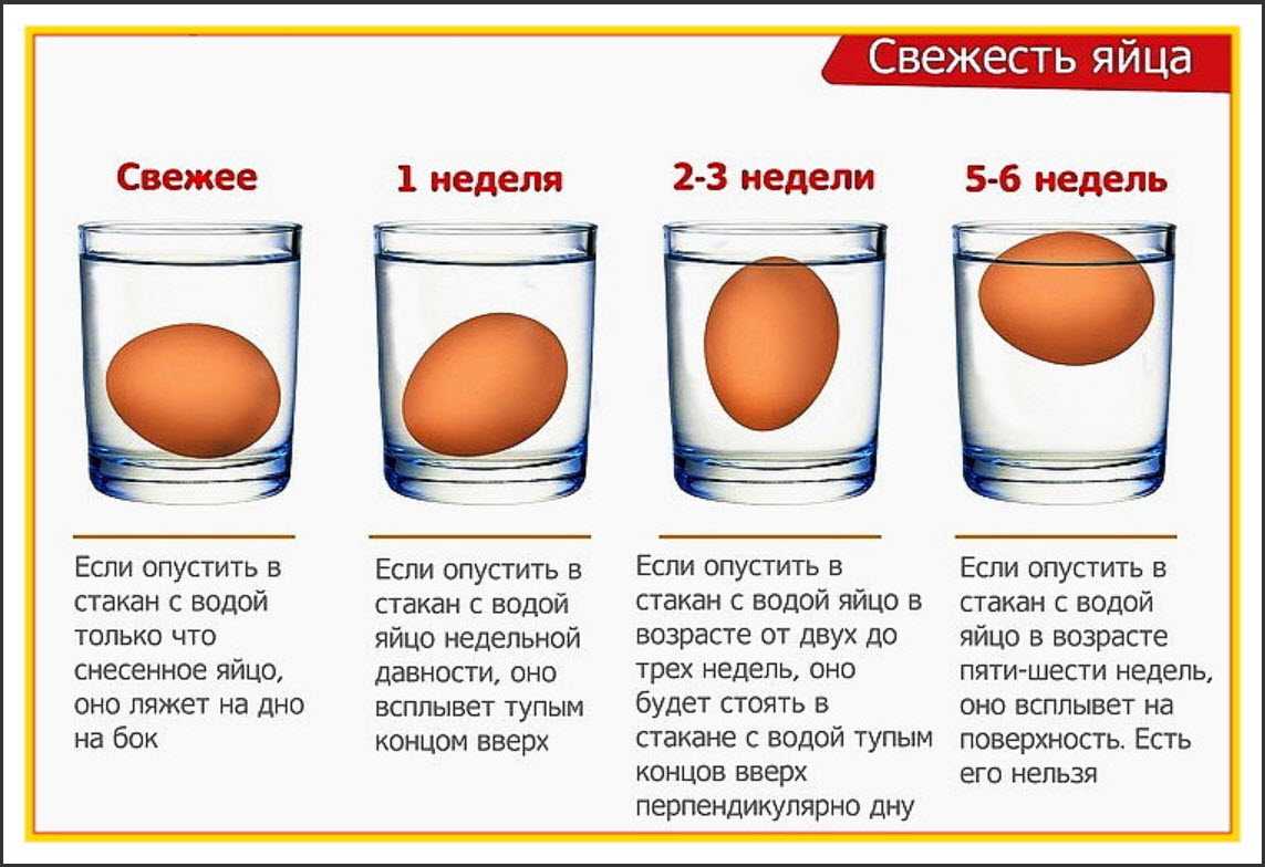 Перепелиные яйца: польза и вред, как употреблять для мужчин, женщин, сырые