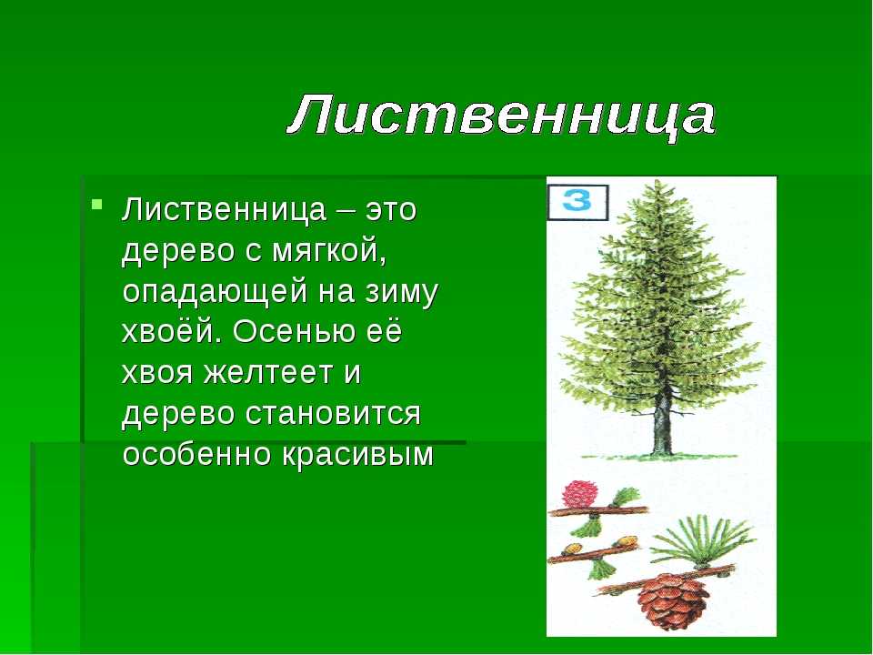 "девушка пятницы": доля свободы или путь к беде?