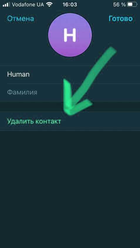 Импорт контактов из телеграм в телефон: экспорт чатов, сообщений ватсап, история переписки на андроид, айфон, компьютер
